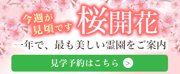 桜開花 一年で、最も美しい霊園をご案内