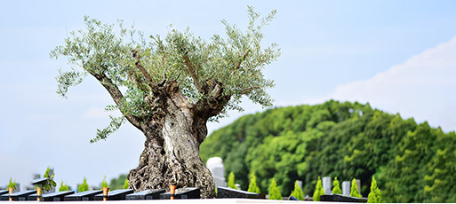 2023年2月GRAND OPEN!