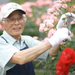 植物とともに過ごす霊園の時間──千年オリーブの森の癒し空間