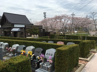 墓じまい