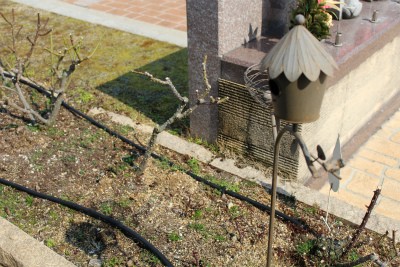 バリアフリー霊園で、お墓参りは気持ちがいいですね♪♪