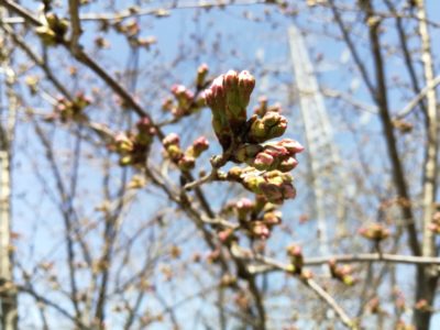 永代供養とは？その意味と探し方を完全解説