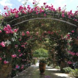 【納骨をお考えの方へ】費用相場・当日の流れ・開眼供養まで解説