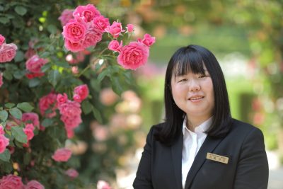 樹木葬　常緑樹のオリーブ