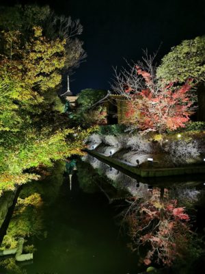 樹木葬専門霊園　ハピネスパーク樹木葬　千年オリーブの森