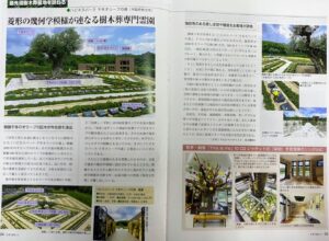 「月間仏事」菱形の幾何学模様が連なる樹木葬専門霊園〈2020年11月号掲載〉