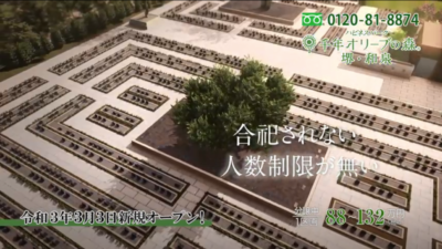 大阪　堺　和泉　樹木葬　永代供養 千年オリーブの森