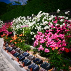 終活を自分ごととして捉えよう