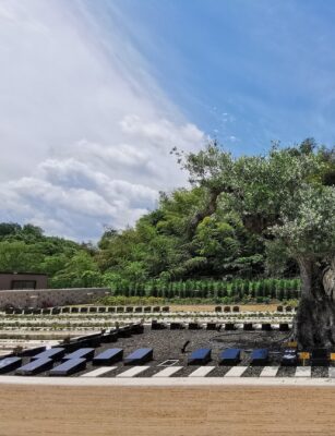 千年オリーブの森 堺 和泉 お盆 合同供養について