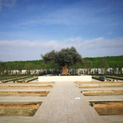 神岡城について