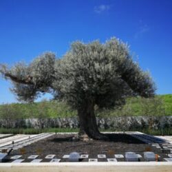 撫養城について