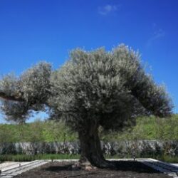 久留里城について