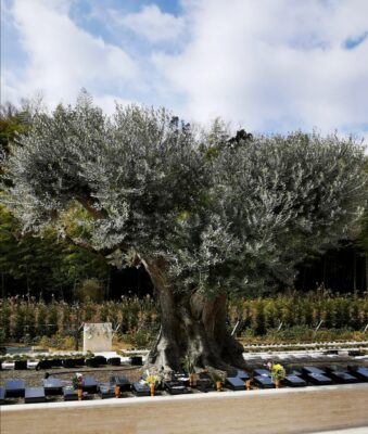 仏教・カトリック・色々な宗派について①