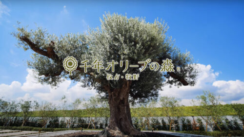 京阪沿線 駅近霊園 永代供養付樹木葬霊園 人数制限なし