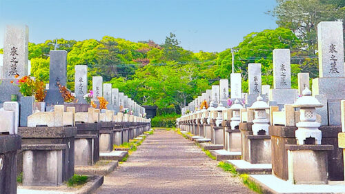 お墓の継承者がいない！絶対に継承しないといけない？