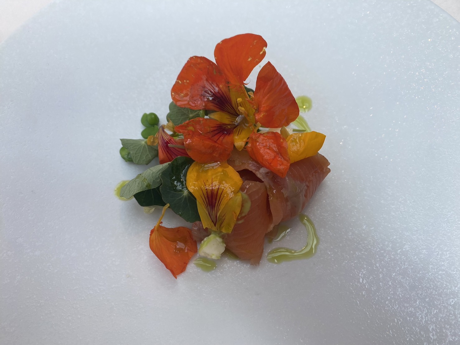 食べられる花？エディブルフラワーのナスタチウム