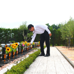 堺市・和泉市のおひとり様向けの永代供養付き樹木葬について