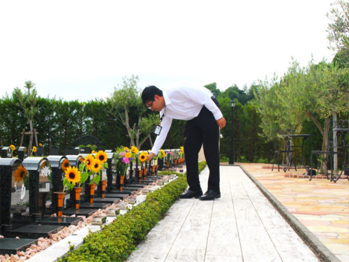 堺市・和泉市のおひとり様向けの永代供養付き樹木葬について