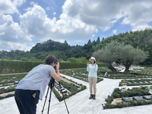 樹木医 後藤瑞穂 千年オリーブの森撮影