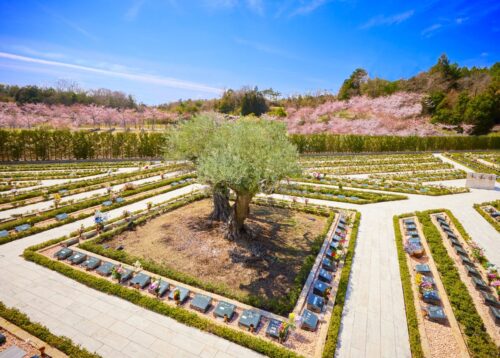 コロナとインフルエンザ併発のリスクと対処法 千年オリーブの森(京阪奈墓地公園内)