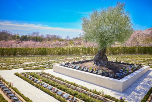 御朱印帳の魅力 千年オリーブの森(京阪奈墓地公園内)