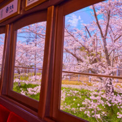 海外にも「お彼岸」はあるの？世界の先祖供養の風習