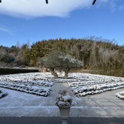 太陽信仰について 世界各国で信仰される太陽