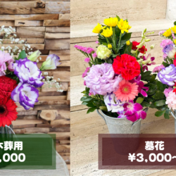 春彼岸の墓花販売中❀桜の開花がもうすぐです