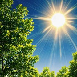 初夏の紫外線、もう油断できない！6月の健やかに過ごすためのポイント