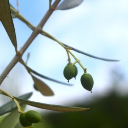 音楽の力で心身を健康に！