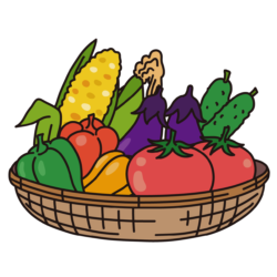 夏の人気野菜たち
