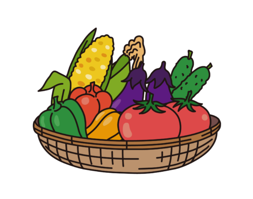 夏の人気野菜たち