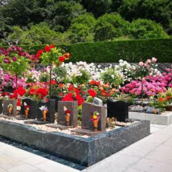 樹木葬の納骨方法とは？土に還す供養と骨壷納骨の違い