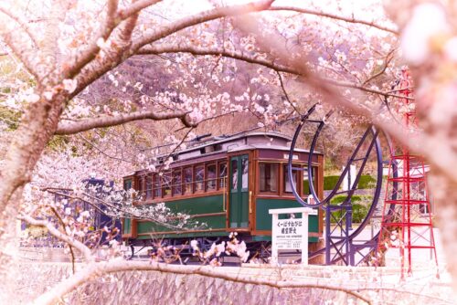 【宝石】マホガニーオブシディアン について