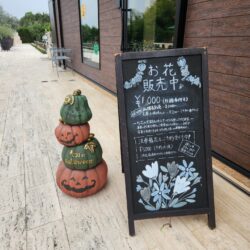 仮装するだけじゃない！ハロウィーンの意外と深い由来と意味