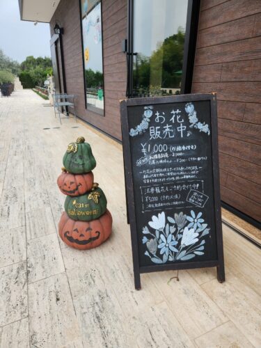 仮装するだけじゃない！ハロウィーンの意外と深い由来と意味