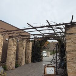 日本の火葬の歴史と喉仏に込められた意味