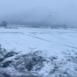 寒い季節を乗り切るために