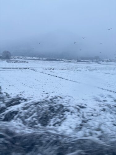 寒い季節を乗り切るために