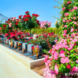 なぜお墓は石なのか？建築の歴史から読み解く理由