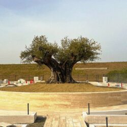 新区画オープンに伴う価格改定のお知らせ