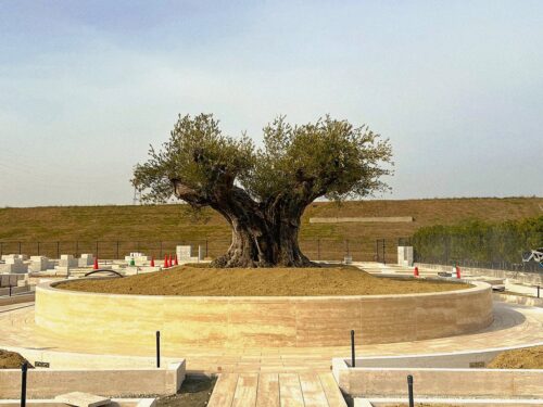 新区画オープンに伴う価格改定のお知らせ