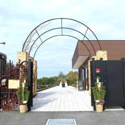 正月太りを健康的にリセット！無理なく体を整える4つのステップ