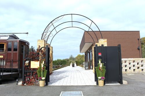 正月太りを健康的にリセット！無理なく体を整える4つのステップ