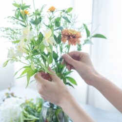 種類別 切り花を長持ちさせるお手入れのコツ