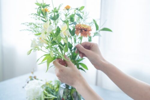 種類別 切り花を長持ちさせるお手入れのコツ