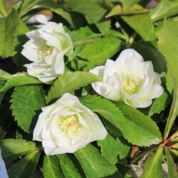 新生活の疲れを溜めない！心身を整える健康習慣とストレス解消法