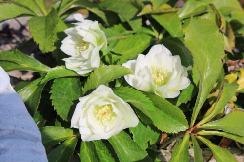 新生活の疲れを溜めない！心身を整える健康習慣とストレス解消法