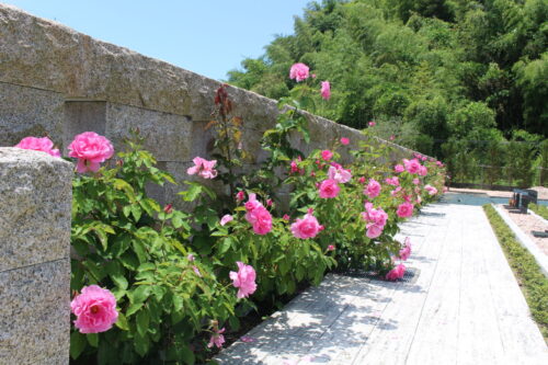 【堺・和泉】手ぶらでお参り、バラの香る霊園。後悔したくない人のための「新しいお墓」の選び方