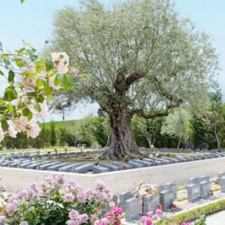 浄土真宗（西本願寺派）の歴史とお墓との関係